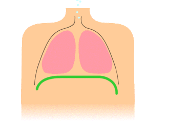 respiration diaphragmatique wiki
